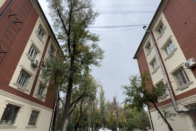 Тараз еуропаланып келеді