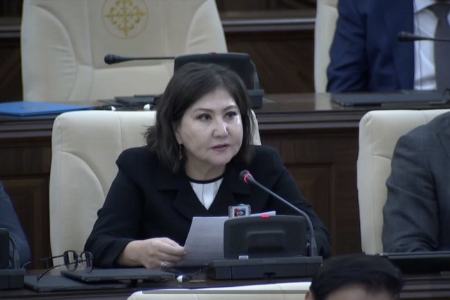 Депутат дабыл қақты: "Балабақшалар бюрократиядан қашан құтылады?"