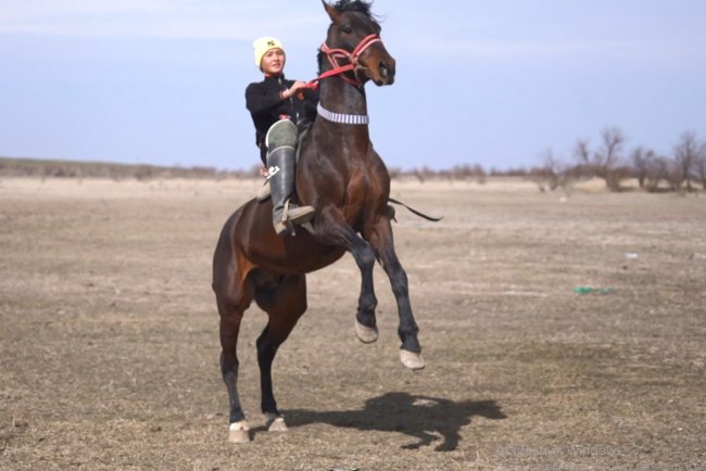 Қазақ қызы көкпар командасын құрмақ