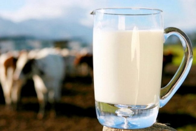 Жыл соңына дейін ірі тауарлы сүт фермасы іске қосылмақ