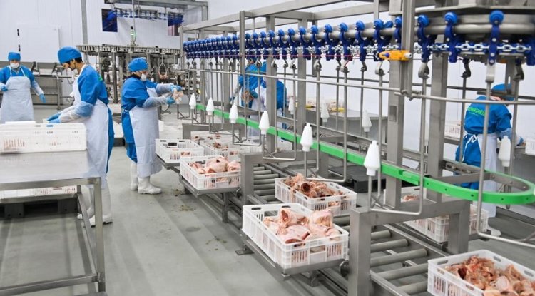 Жамбылда жылына 70 мың тонна құс етін өңдейтін зауыт іске қосылды