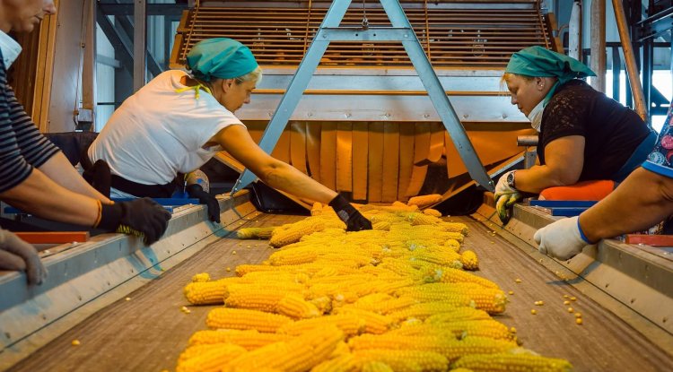 Жамбылда 1,1 трлн теңгенің жобалары іске асады