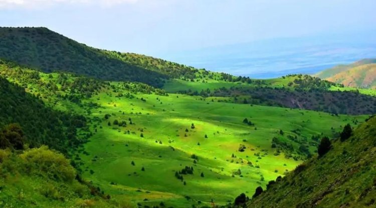 Жамбылдың туристік әлеуеті қалай?