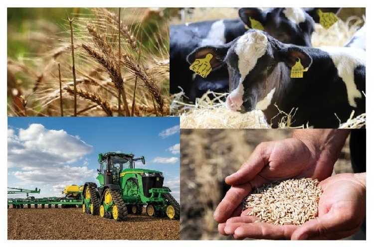 Жамбылда инвестиция, өнеркәсіп, ауыл шаруашылығының дамуы қалай?