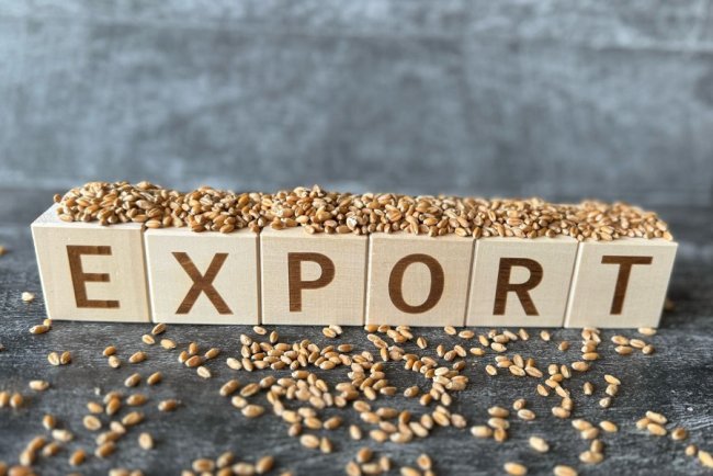 Экспорттаушыларды қолдау көлемі кеңейді