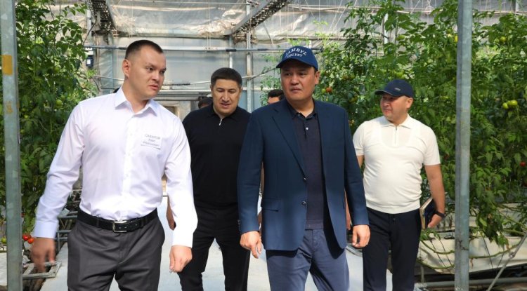 Қордайда атқарылып жатқан жұмыс ауқымды