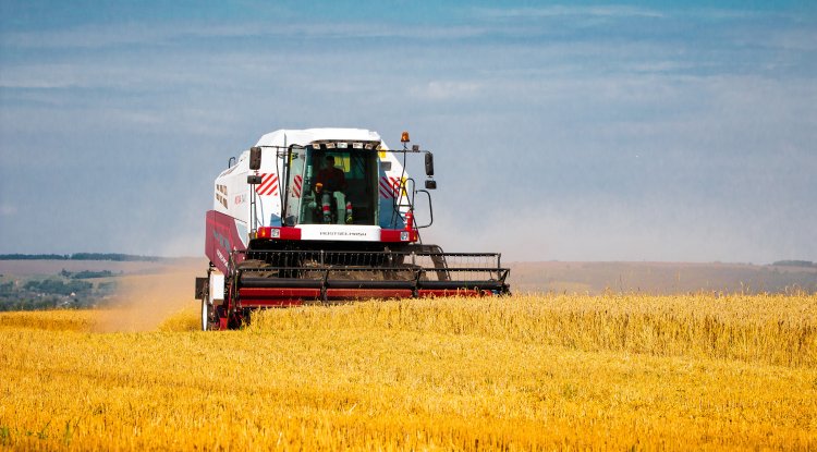 Жамбылда күзгі жиын-терім жұмыстарының 94,7 пайызы аяқталды