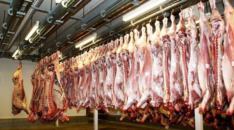 Ет экспортына квоталық шектеу қойылды