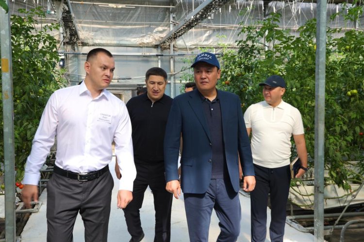 Қордайда атқарылып жатқан жұмыс ауқымды