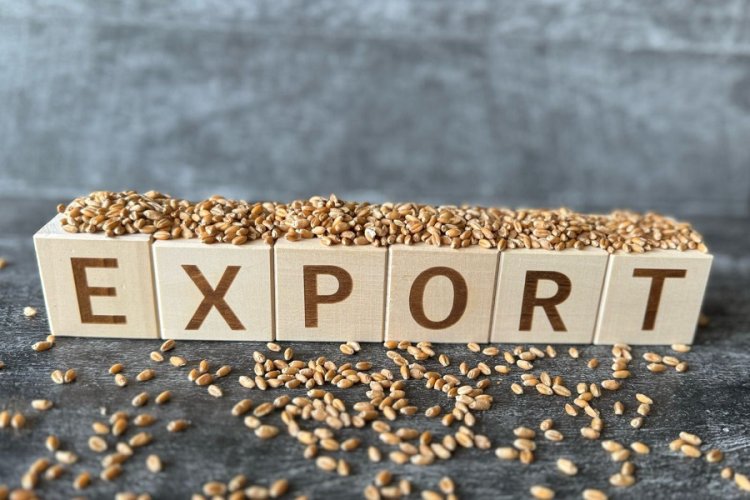 Экспорттаушыларды қолдау көлемі кеңейді