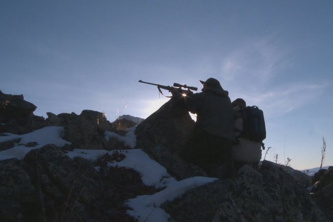 Арқар мен қарақұйрық атқандар қолға түсті