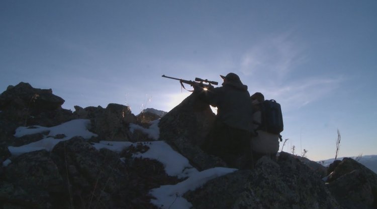 Арқар мен қарақұйрық атқандар қолға түсті