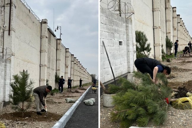 Сенбілік – тазалық пен бірліктің белгісі