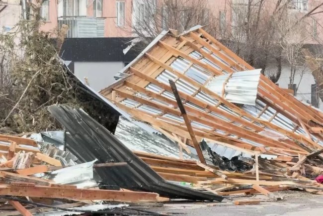 Жамбылда жойқын жел соқты