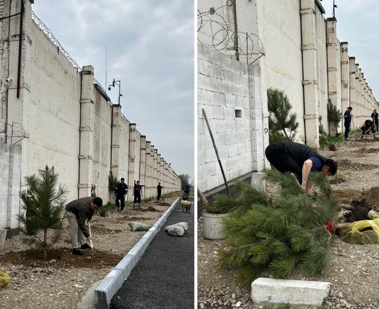 Сенбілік – тазалық пен бірліктің белгісі